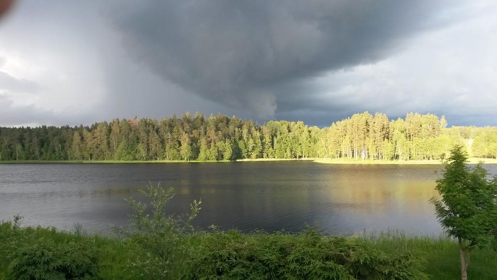Ezerkalni *